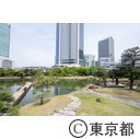 旧芝離宮恩賜庭園