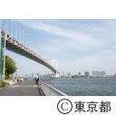 芝浦南ふ頭公園周辺
