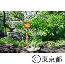 都立向島百花園 春の七草