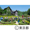 旧古河庭園のバラ