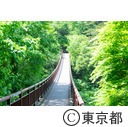 秋川渓谷の石舟橋