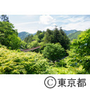 秋川渓谷の石舟橋