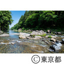 沢戸橋周辺の秋川渓谷（岩瀬峡）