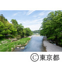 小和田橋から見た秋川渓谷