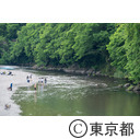 秋川橋から見た秋川渓谷