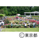 神代植物公園のばら園