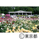 神代植物公園のばら園