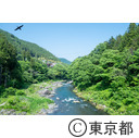 御岳渓谷遊歩道  杣（そま）の小橋からの風景