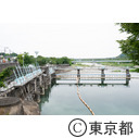 羽村取水堰の投渡堰と取水口（第一水門）