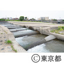 羽村取水堰の魚道