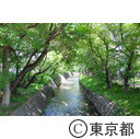 玉川上水（清願院橋周辺）