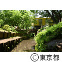 玉川上水沿いの新堀用水