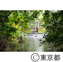 落合川と南沢湧水群周辺