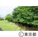 落合川と南沢湧水群周辺