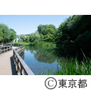 姿見の池（東京の名湧水）