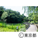 国分寺姿見の池緑地保全地域