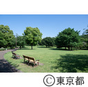 武蔵国分寺公園