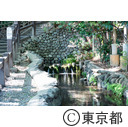 真姿の池湧水群