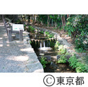 真姿の池湧水群