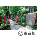 真姿の池湧水群