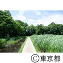 矢川緑地保全地域