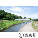 矢川おんだし里山保全地域