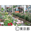 東京さくらトラム（都電荒川線）町屋駅前停留所