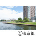 石川島公園（スーパー堤防）
