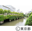 お茶の水分水路 呑口（神田川）