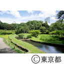 小石川後楽園の神田上水跡