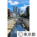 神田川と都庁舎