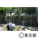 蚕糸の森公園