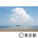 城南島海浜公園 つばさ浜