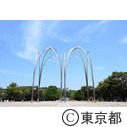 光が丘公園の光のアーチ