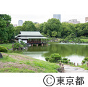 清澄庭園