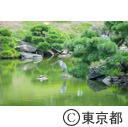 清澄庭園