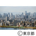 船堀タワーから東京タワー方面を望む。手前は荒川