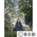 都立第五福竜丸展示館