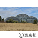 夢の島熱帯植物館
