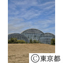 夢の島熱帯植物館