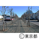 鷹の台の新五日市街道